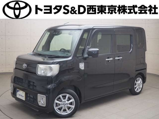 ピクシスメガL SAIII