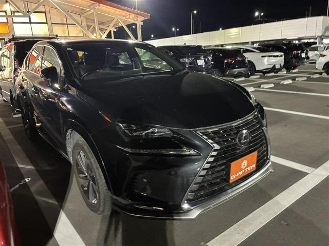 NX300 スパイス&amp;シック