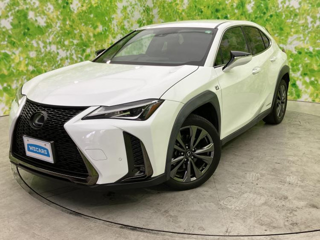 UX250h Fスポーツ