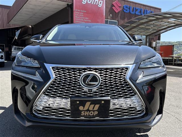 NX200t バージョンL