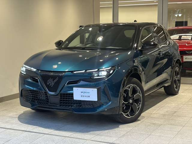 ジュニアイブリダ プレミアム