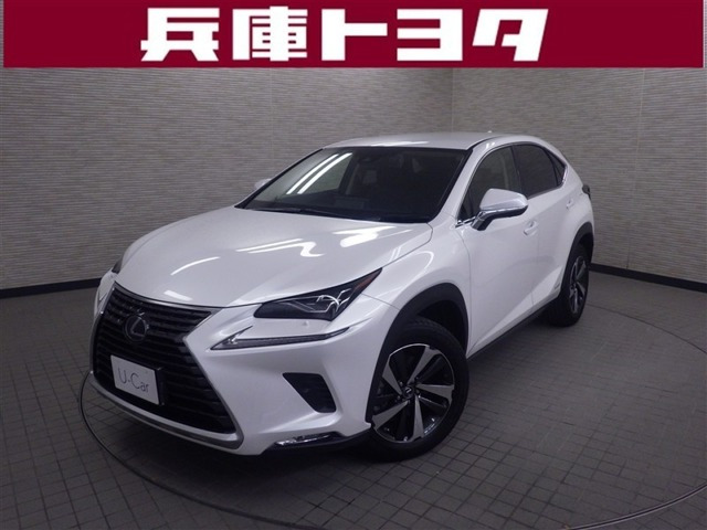 NX300h Iパッケージ 4WD