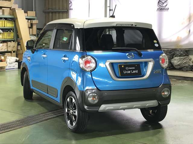 キャストアクティバ G SAII