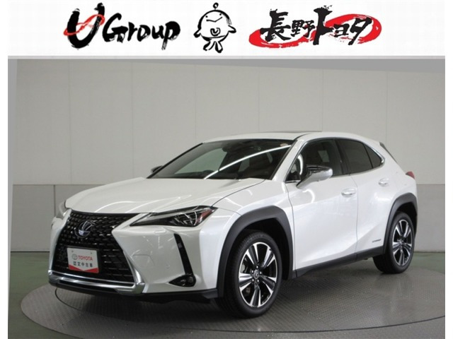 UX250h バージョンC