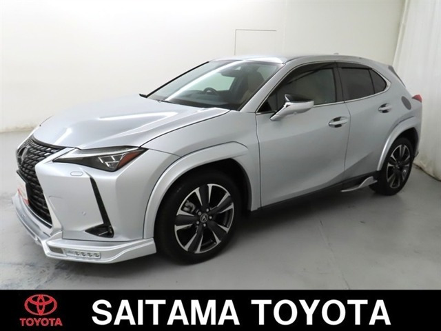 UX250h バージョンL