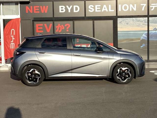 ドルフィンベースライン