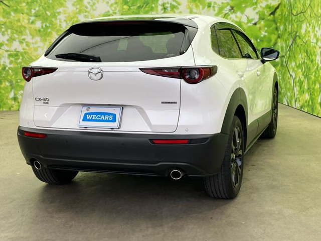 CX-302.0 20S ブラックトーンエディション 4WD