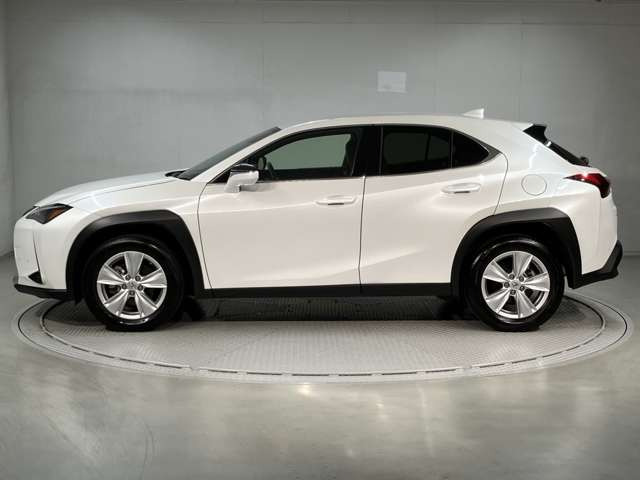 UX250h バージョンC