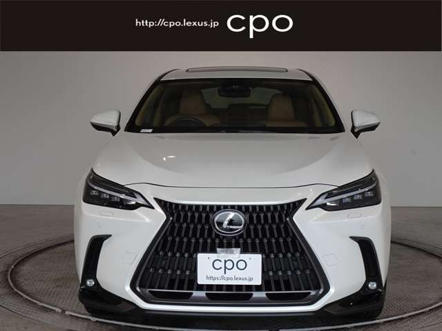 NX250 バージョンL