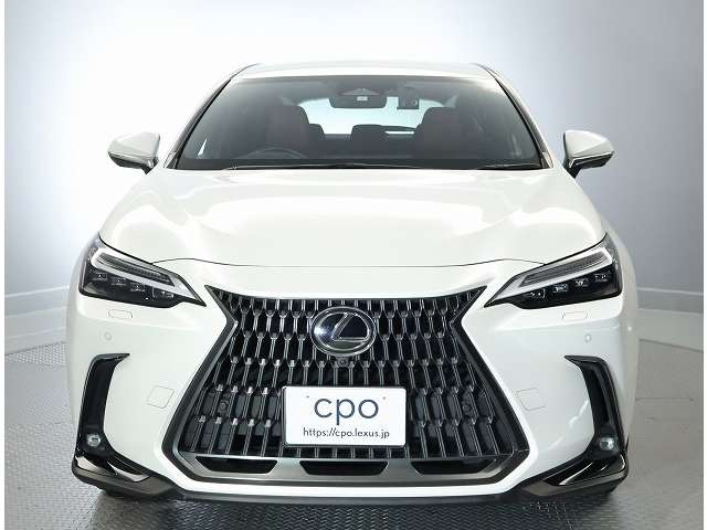 NX350h バージョンL