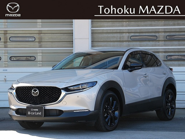 CX-302.0 20S ブラック セレクション 4WD