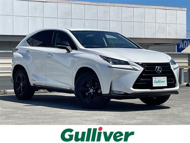 NX300h アーバンスタイル