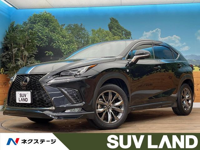 NX300h Fスポーツ