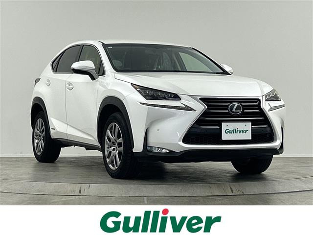 NX300h Iパッケージ