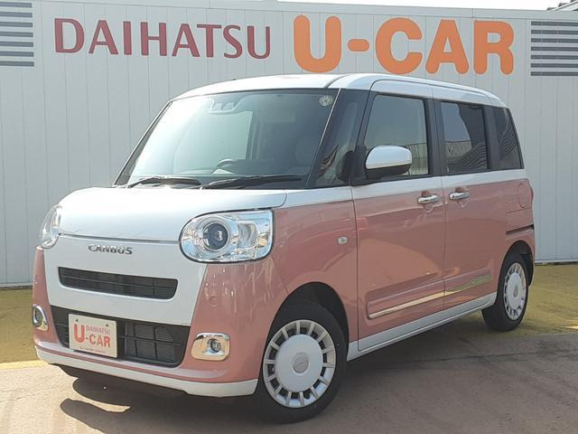 ムーヴキャンバスストライプス G