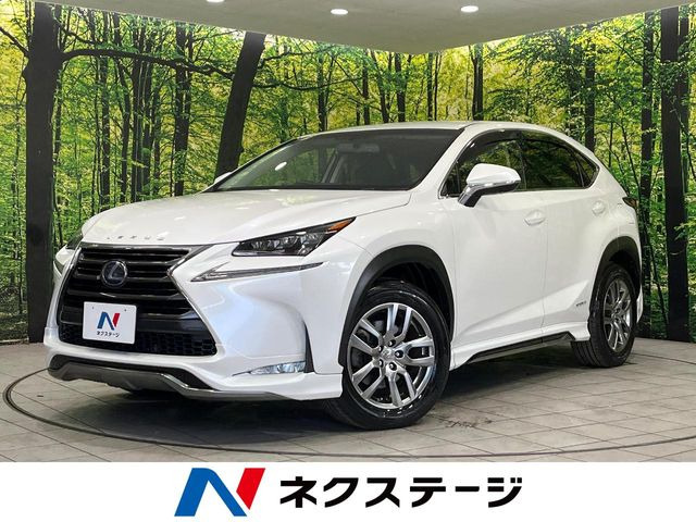 NX300h Iパッケージ