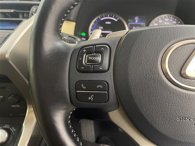 NX300h バージョンL