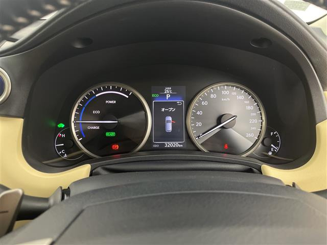 NX300h バージョンL