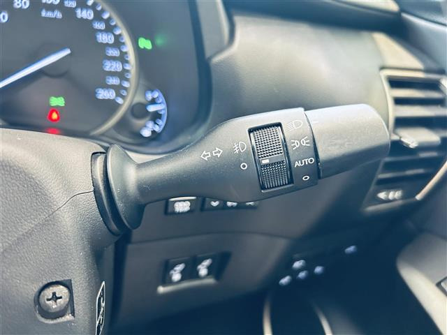 NX300h バージョンL