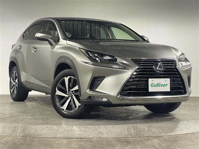 NX300h バージョンL