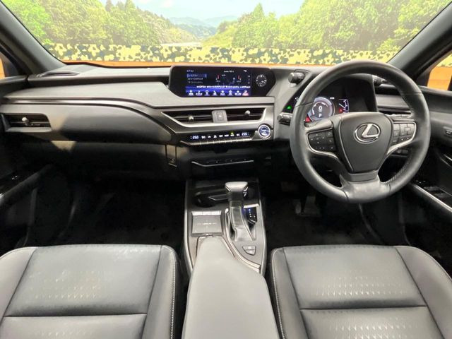 UX250h バージョンC