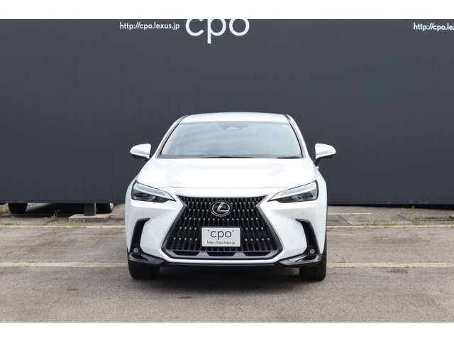 NX450hプラス バージョンL 4WD