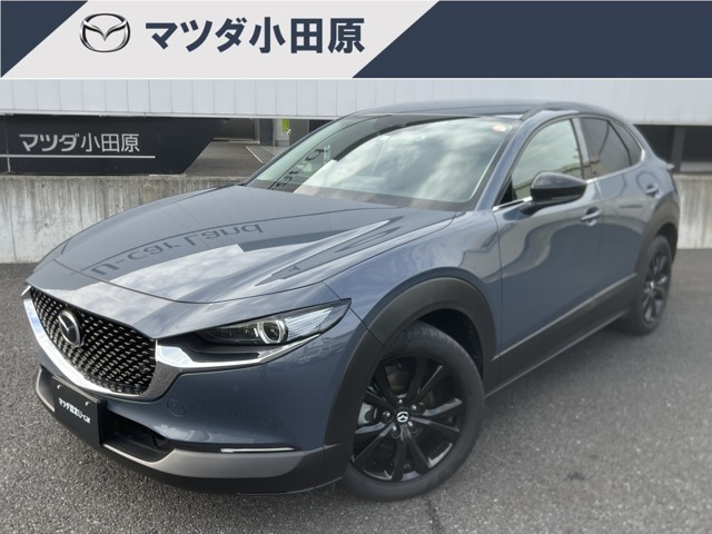 CX-302.0 20S