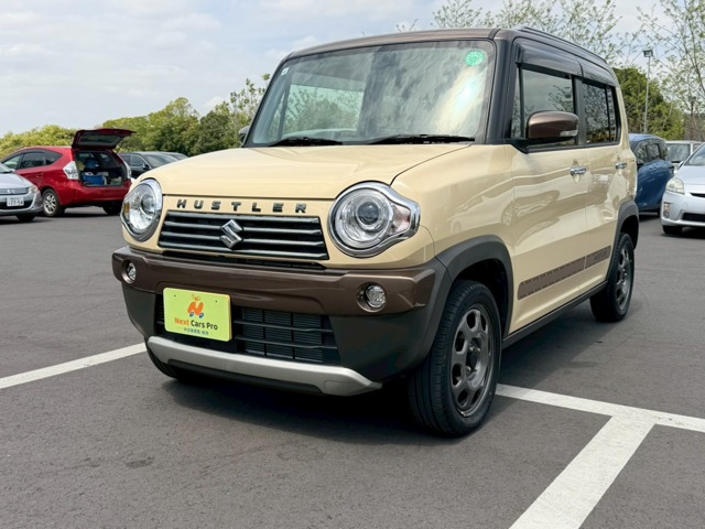 ハスラーワンダラー