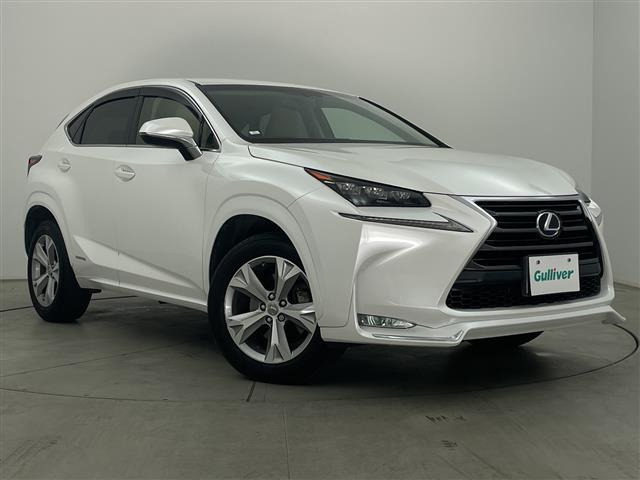 NX300h バージョンL