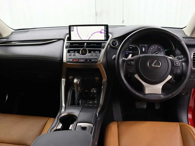 NX300h バージョンL