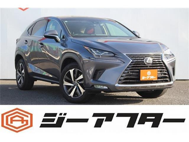 NX300 バージョンL