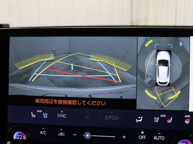 NX250 バージョンL