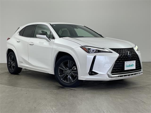 UX250h バージョンC