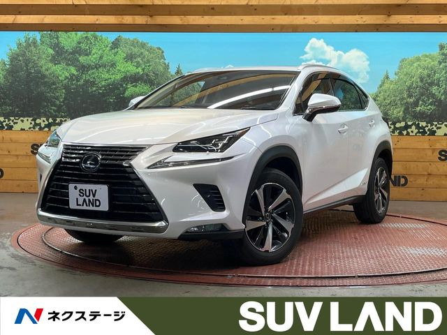 NX300h バージョンL