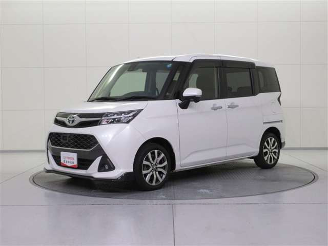 タンク1.0 カスタム G-T