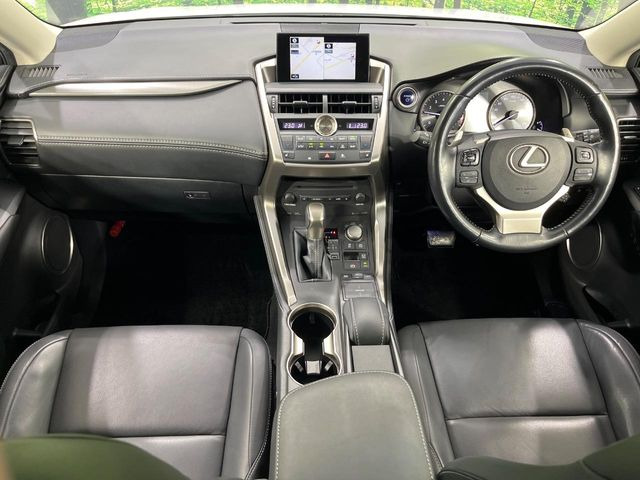 NX300h Iパッケージ