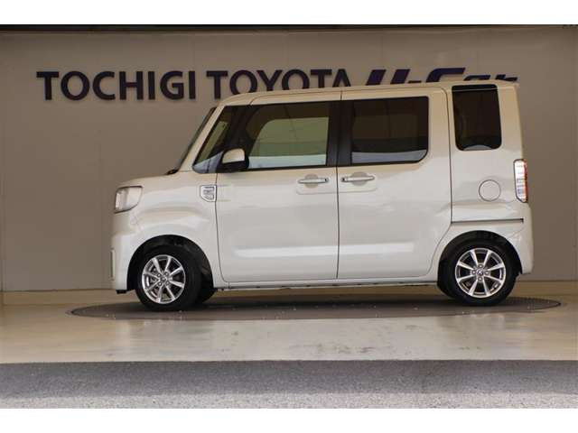 ピクシスメガL SAIII