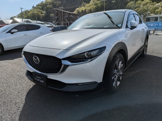 CX-302.0 20S プロアクティブ ツーリングセレクション 4WD