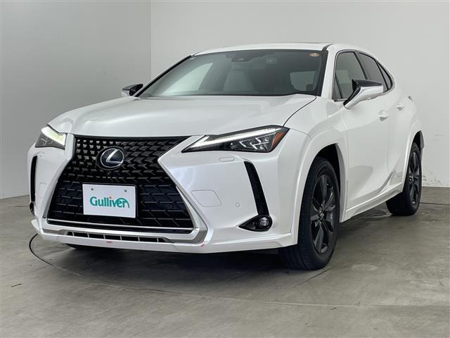 UX250h バージョンC