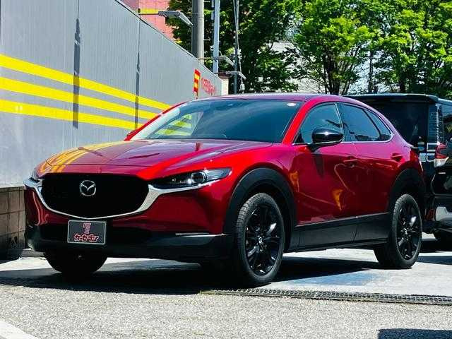 CX-302.0 20S ブラックトーンエディション