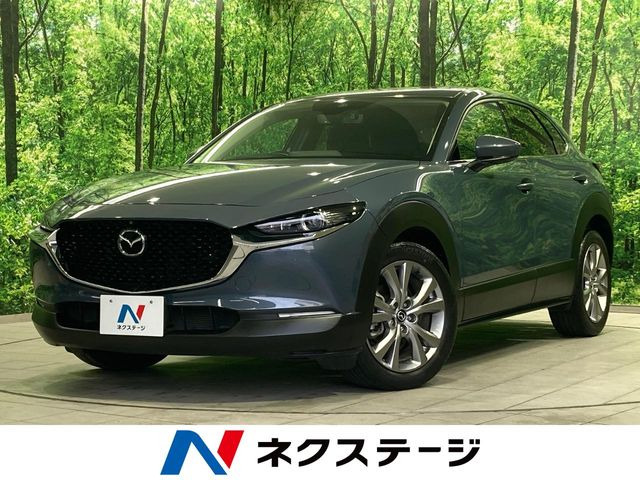 CX-302.0 20S プロアクティブ ツーリングセレクション