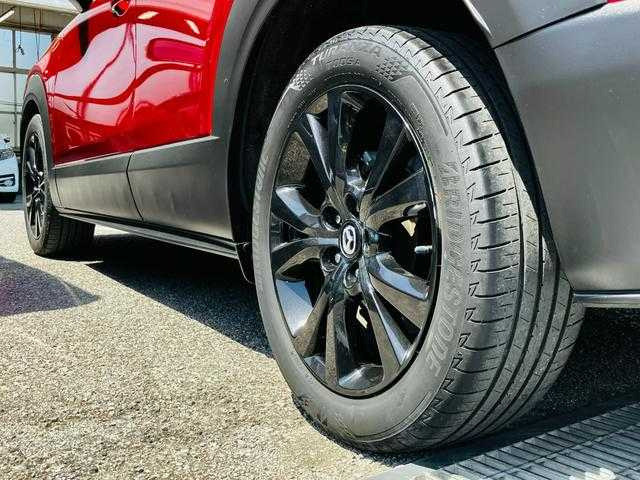 CX-302.0 20S ブラックトーンエディション