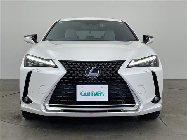 UX250h バージョンC