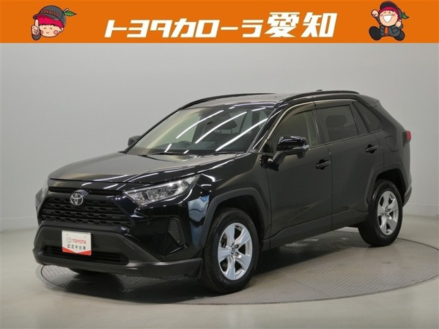RAV42.0 X