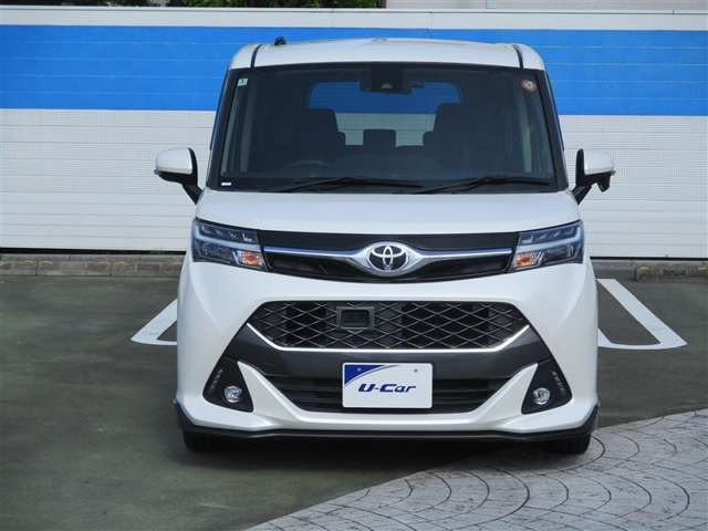 タンク1.0 カスタム G-T