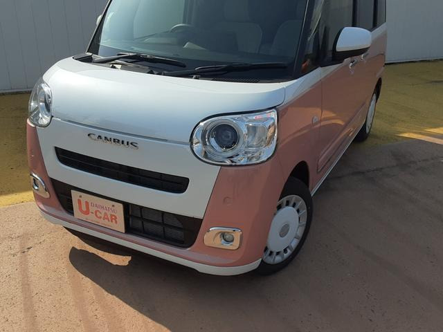 ムーヴキャンバスストライプス G