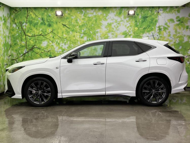 NX350h Fスポーツ