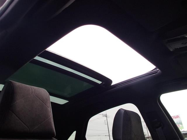 DS7クロスバックパフォーマンスライン