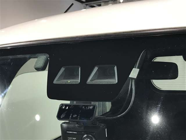 ピクシスメガL SAIII