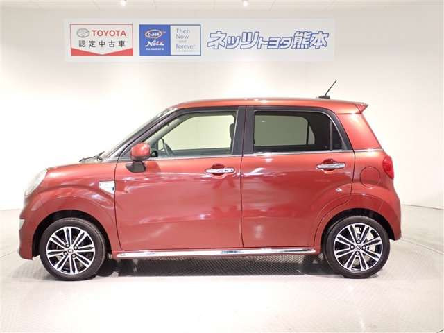 ピクシスジョイF G SAII